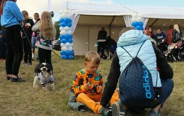 Rodzinny piknik w Gorzowie z okazji 10-lecia szpitalnej sp&oacute;łki 28